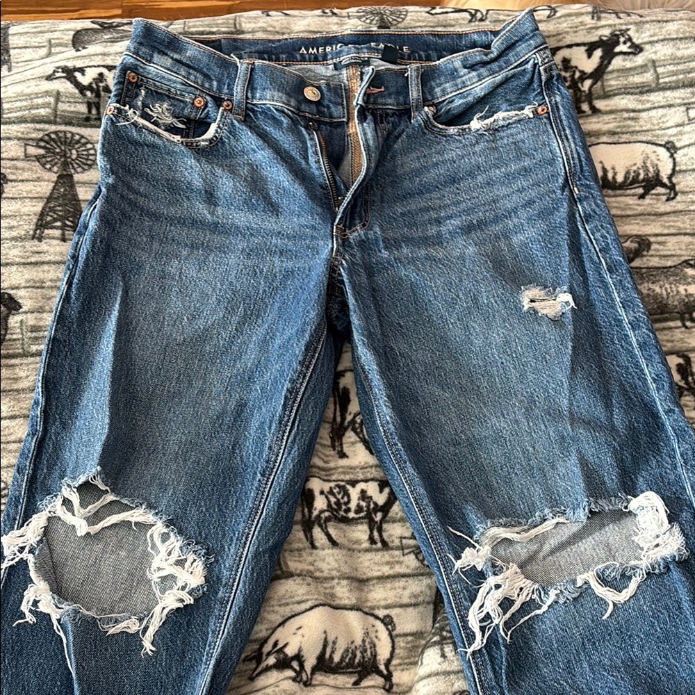 American Eagle Outfitters Blue Distressed Ex-Boyfriend Jeans
